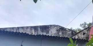 Allanamiento en Chajarí: Desmantelan presunta boca de expendio de drogas