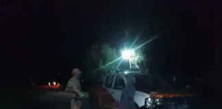 Recuperan tres lechones robados en Gualeguay: El ladrón fue detenido en flagrancia