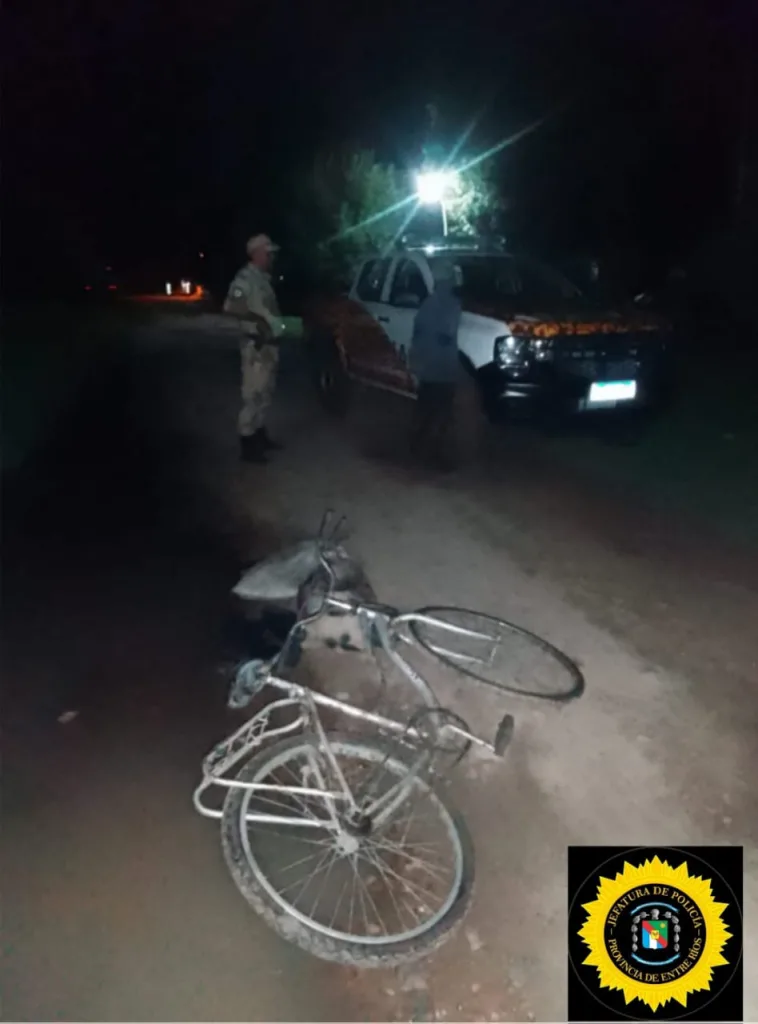 Recuperan tres lechones robados en Gualeguay: El ladrón fue detenido en flagrancia