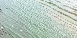 Informe sobre el estado del agua en los balnearios