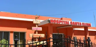 Santa Elena: Trabajador fallece tras picadura de Abeja