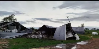 Tormenta provocó daños importantes en granjas de pollos