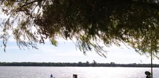 Colón: ¿Realidad o Expectativa? Una mirada de la temporada turística desde diversas perspectivas