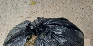 Puestos de Control Vial Bella Vista: Secuestro Vehicular y Procedimiento de Narcomenudeo