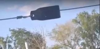 Maltrato animal en una doma: condenan a un hombre a dos meses de prisión condicional