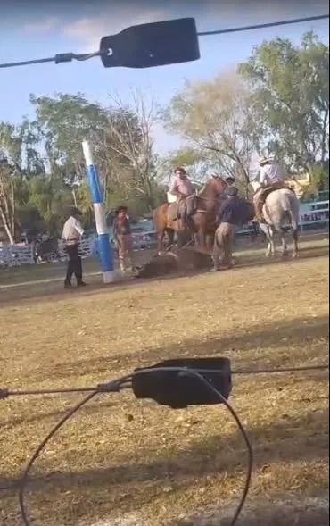 Maltrato animal en una doma: condenan a un hombre a dos meses de prisión condicional