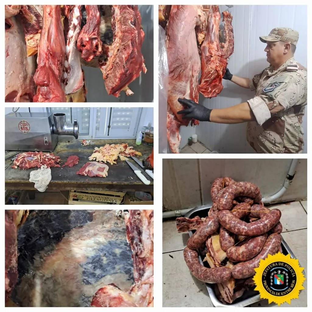 Procedimiento de Control en Carnicerías de Colón y San José: Decomiso de 335 Kilos de Carne