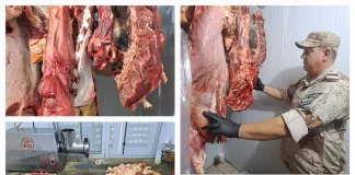 Procedimiento de Control en Carnicerías de Colón y San José: Decomiso de 335 Kilos de Carne