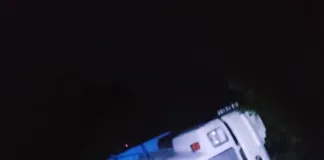 Camión cargado de maíz volcó en la Ruta 12