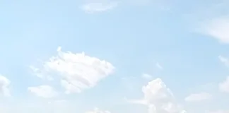 Siniestro vial en la Autovía N°12: Vehículo impacta por detrás a una camioneta