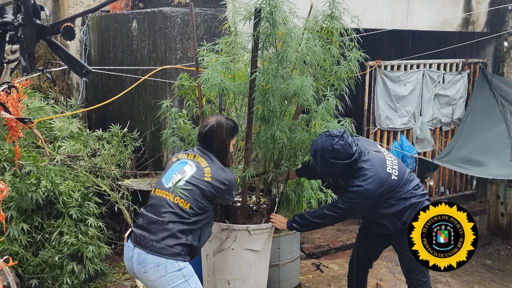 De accidente a posible homicidio: investigan la muerte sospechosa de una mujer