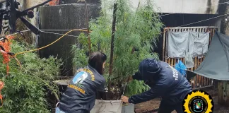 De accidente a posible homicidio: investigan la muerte sospechosa de una mujer