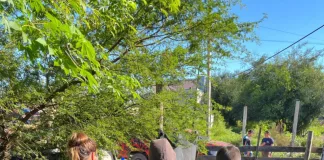 Allanamientos Simultáneos en Barrio Cristo de los Olivos: Detenciones y Secuestro de Estupefacientes y Armas