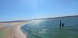 Continúa el riesgo por la presencia de cianobacterias en los balnearios de la ciudad