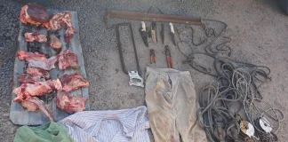 Operativo contra el abigeato desbarata banda de cuatreros en Gualeguaychú: secuestran carne, ganchos, cuchillos y ropa ensangrentada