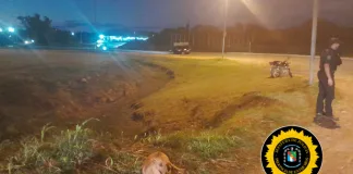 Accidente en la rotonda del Puesto Caminero: un motociclista pierde el control y queda gravemente herido