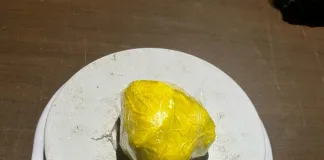 Federación: CAN antinarcóticos detecta cocaína oculta en las partes íntimas de un motociclista.