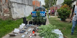 Allanamiento y hallazgo de cultivo de marihuana en un domicilio