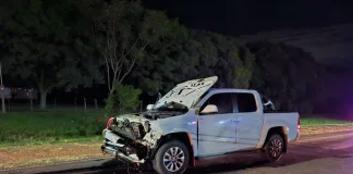 Conductor Impactó contra un animal vacuno