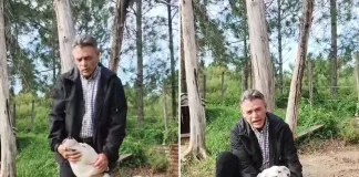 Wilson, el perro Dogo rehabilitado tras atacar a una niña en Basavilbaso