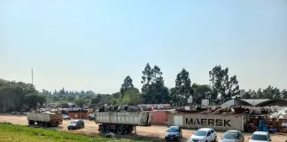 Amparo ambiental: se dispuso la clausura de una chatarrería en Paraná