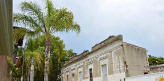 Menor de 8 años fue mordido por una yarará y fue trasladado al hospital para su atención