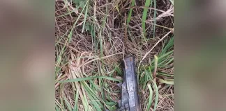 Hallan un arma de fuego a la vera de la Autovía Artigas