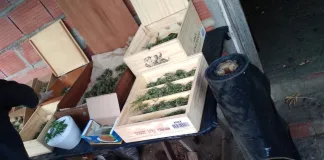 Operativo policial con resultados positivos: secuestro de armas y estupefacientes