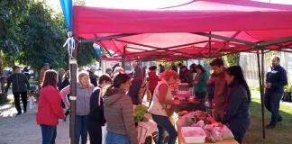 Feria en tu barrio: un incentivo a la economía local