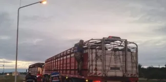 Operativos en Pasos Fronterizos de Federación Contra la Garrapata: Refuerzo en el Control Sanitario del Ganado