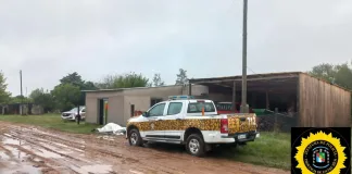 Investigación en Los Charrúas: Detienen a un hombre por un delito de abigeato