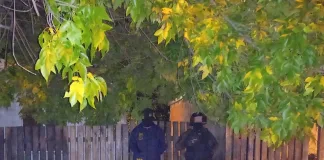 Desbaratan red de narcotráfico en la Autovía Gervasio Artigas: secuestran más de 2 kilos de marihuana