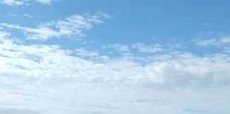 Siniestro vial: vuelco de acoplado en Ruta Nacional 130