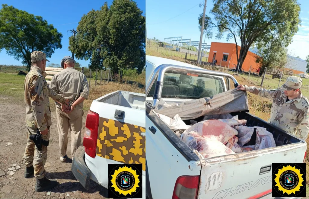 Peón rural fue detenido tras faenar una vaca de su patrón