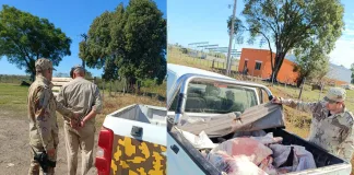 Peón rural fue detenido tras faenar una vaca de su patrón