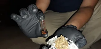 Detienen a un hombre con drogas en un colectivo procedente de Paraná