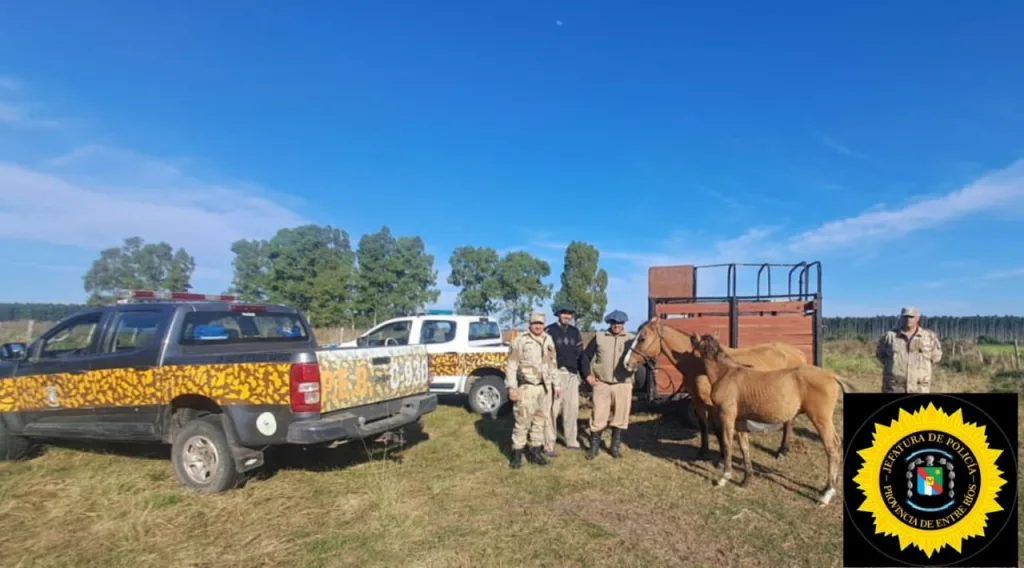 Recuperaron en Ubajay dos caballos robados gracias a la Brigada de Abigeato de Colón
