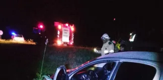 Siniestro vial en Autovía 14: un vehículo terminó en el cantero central por esquivar un animal