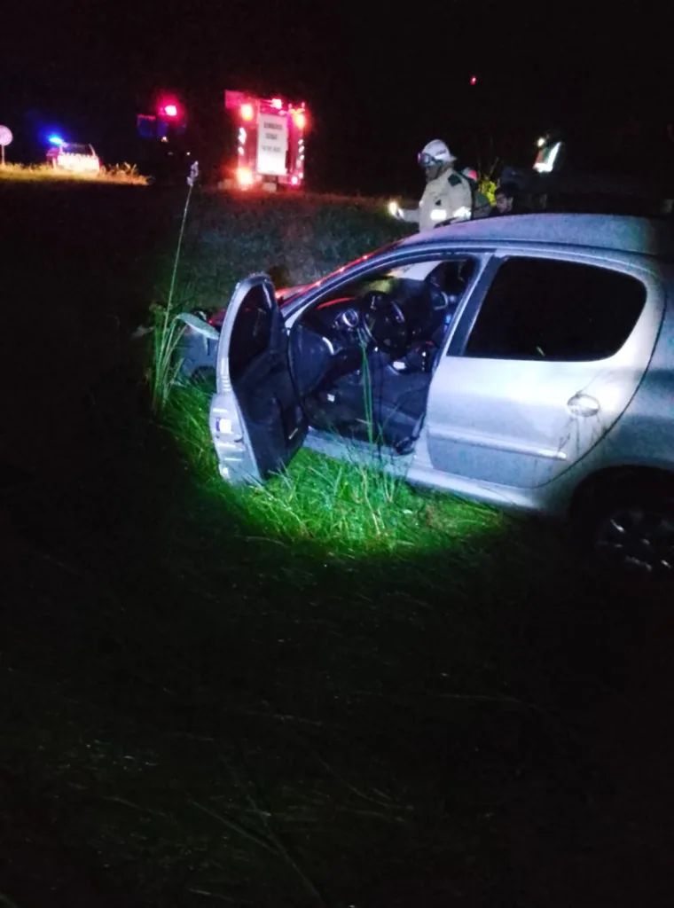 Siniestro vial en Autovía 14: un vehículo terminó en el cantero central por esquivar un animal
