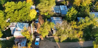 Seis allanamientos en Concordia por amenazas con arma de fuego: secuestran estupefacientes, municiones y aves silvestres