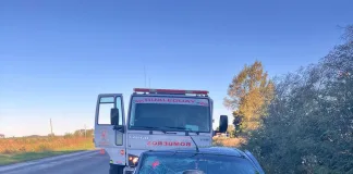 Accidente en Ruta 11: un auto despistó y chocó contra un árbol