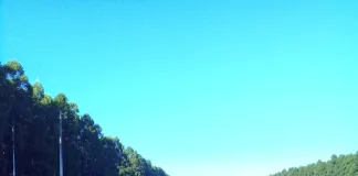 Un auto despistó en la Autovía Gervasio Artigas