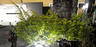 Secuestran una motocicleta en Colón: investigan su procedencia