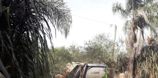 Dan curso a un amparo por un basural clandestino al lado de una escuela en Colón