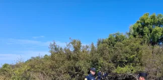 Parque Nacional El Palmar: Hallazgo de restos óseos