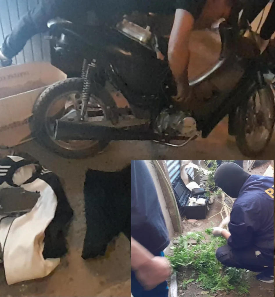 Recuperan Motocicleta Robada y Secuestran Plantas de Marihuana en Allanamiento en Concepción del Uruguay