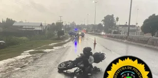 Motociclista chocó contra un caballo suelto en Avenida J. J. Bruno