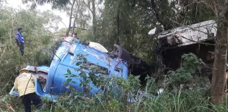 Camión despistó en Ruta 12 y su conductor murió aplastado por la cabina