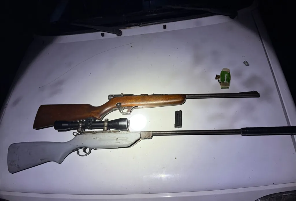 Personal de la Brigada Gualeguaychú secuestro armas de fuego y dos hombres fueron identificados