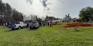 Liberan 36 aves silvestres rescatadas en Concordia tras allanamientos por caza ilegal